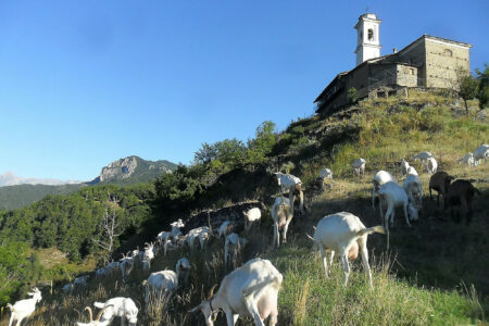lo-puy-la-chabrochanto-12