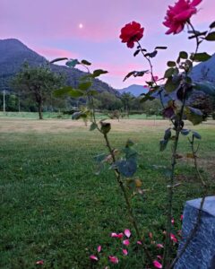 IMG_20200906_192759_751